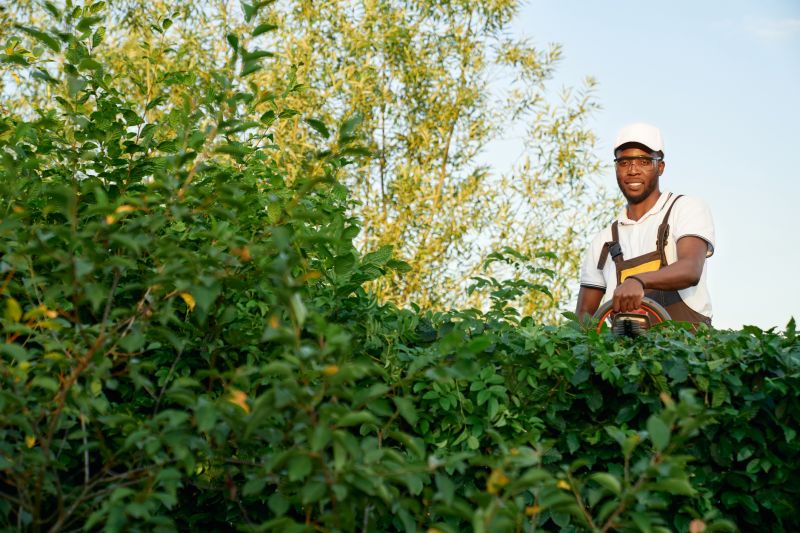 Hedge Pruning detail