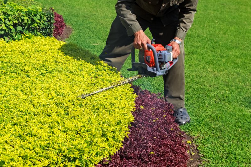 Trimmed Shrubs with Sharp Edges