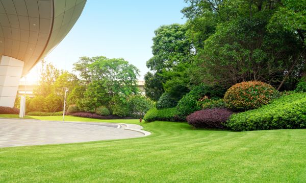 Commercial Shrub Trimming in Englewood