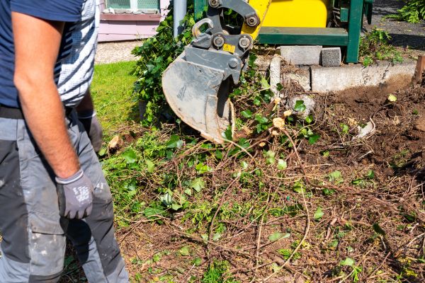 Hedge Removal Service in Englewood