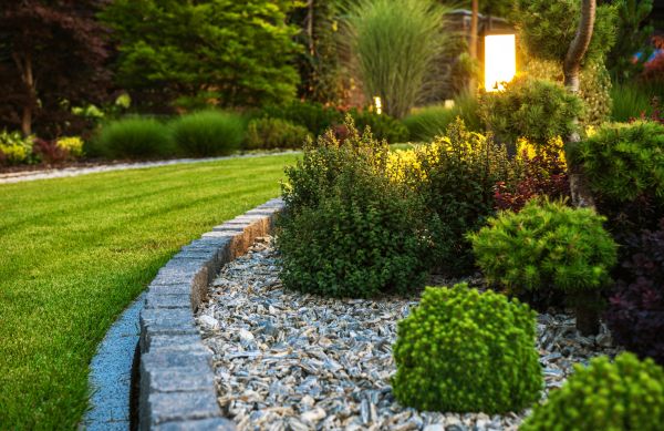Cost of Bush Relocation in Englewood