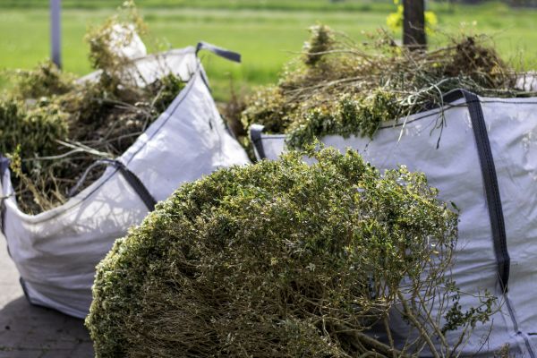 Shrubs Removal in Englewood