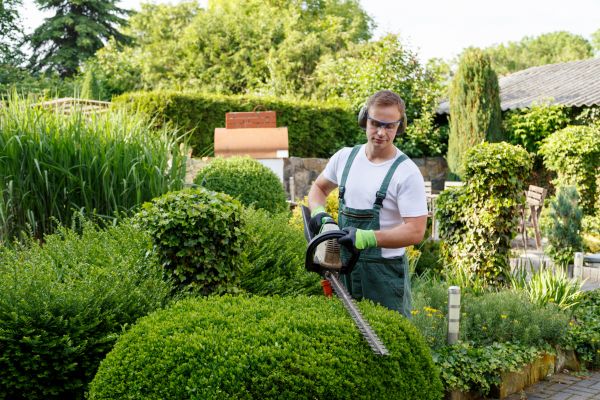 Shrubs Trimming in Englewood