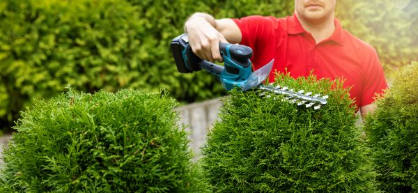 Cost of Hedge Shaping Service in Englewood